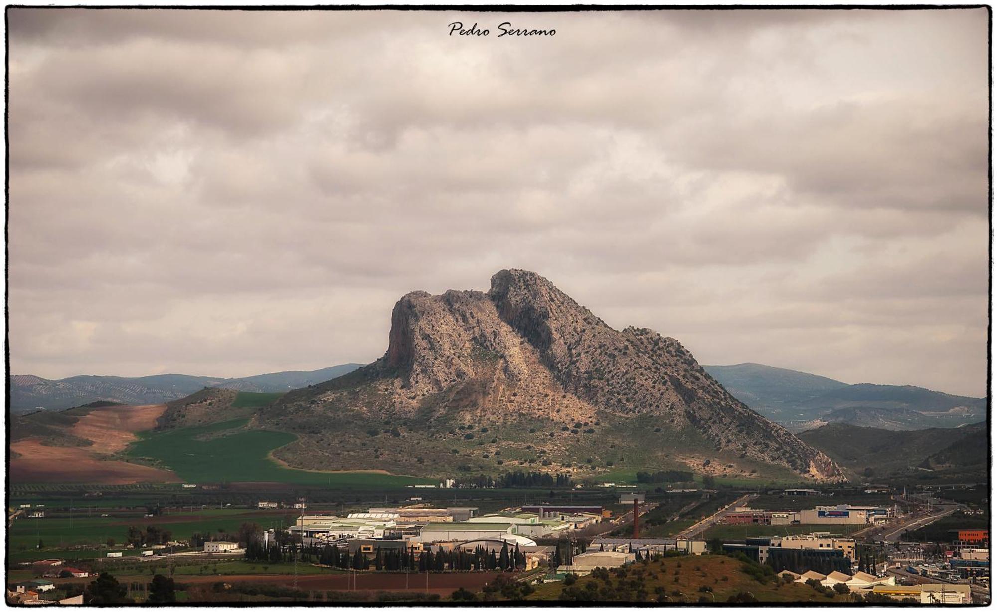 Alegria Antequera